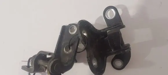Toyota Avensis T250 Rear door hinge set 