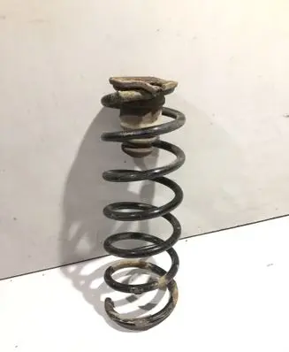 Rear coil spring