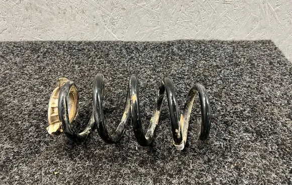 Rear coil spring