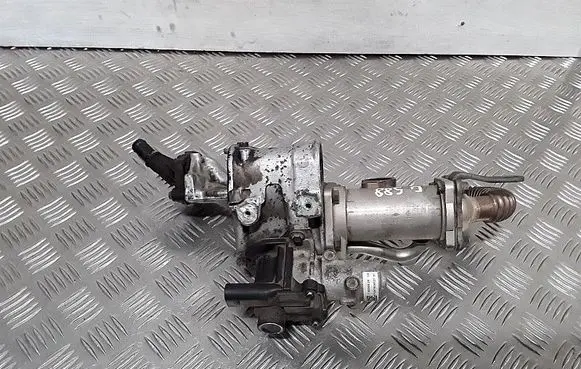 Renault Kangoo II EGR valve cooler h8200282949 8200561269a