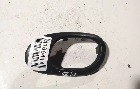 Other front door trim element