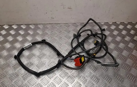 Other wiring loom