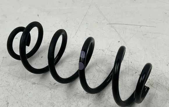 Rear coil spring
