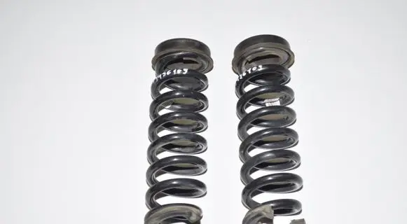BMW 4 F36 Gran coupe Rear coil spring 6855952 33536855952
