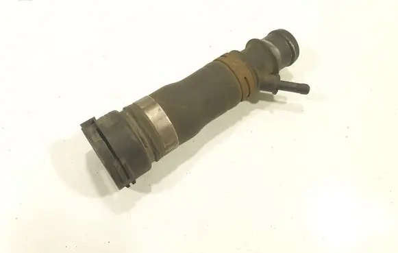 Volkswagen Phaeton Engine coolant pipe/hose 3B0122291