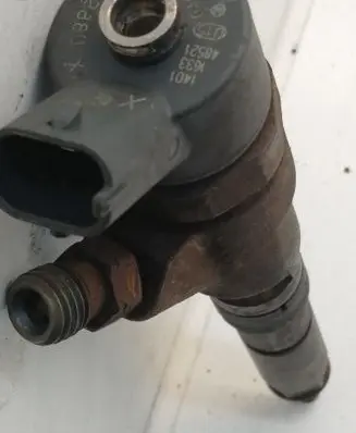 Peugeot Boxer Fuel injector 0445110076 9641742880