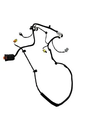 Other wiring loom
