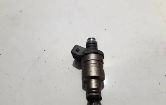 Ford Fiesta Fuel injector IW155 95BF.BC