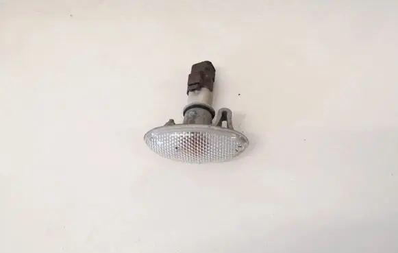 Citroen C2 Front fender indicator light
