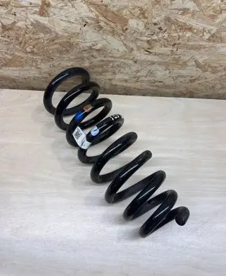 Rear coil spring