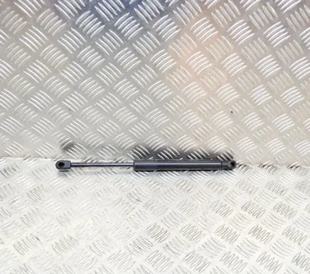 Tesla Model 3 Tailgate/trunk strut/damper 109156000B