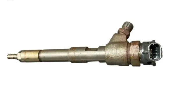 Renault Kangoo II Fuel injector H8201108033 0445110485
