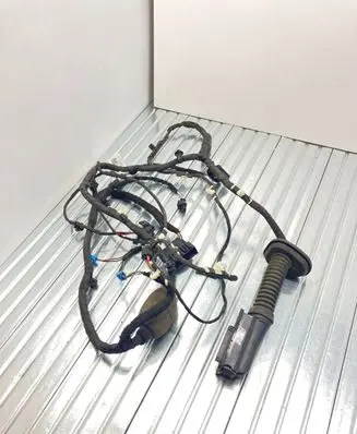 Front door wiring loom