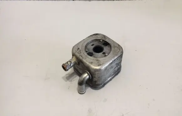 Audi A4 S4 B7 8E 8H Engine oil radiator 