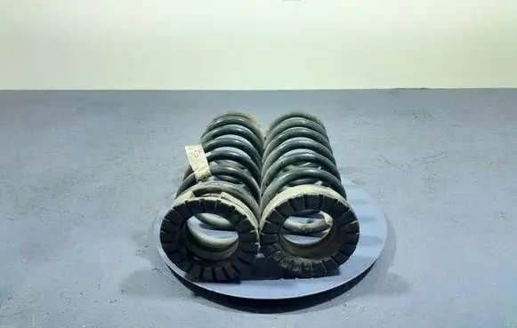 Ford Fusion Rear coil spring