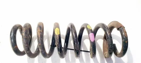 Rear coil spring