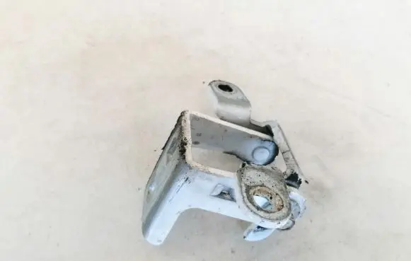 Rear door lower hinge