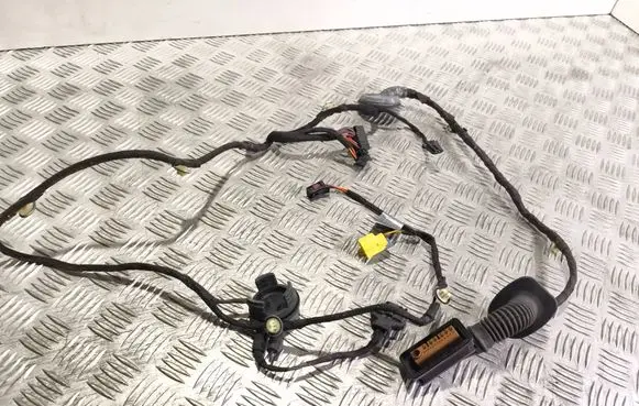 Audi Q5 SQ5 Front door wiring loom 8R0971030BF TAB010766PT 05112010