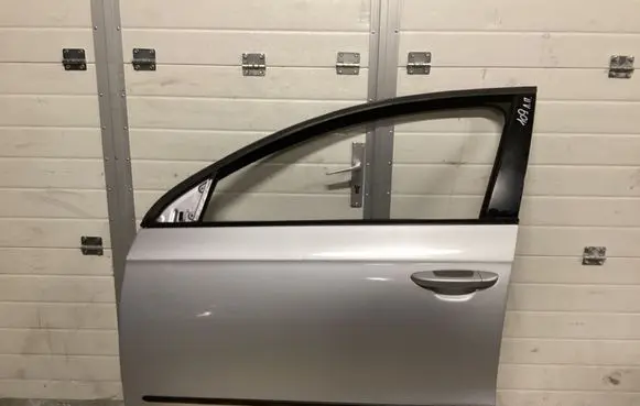 Volkswagen PASSAT B6 Front door