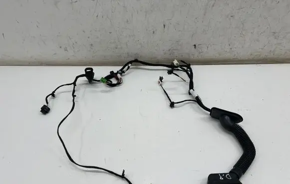 Mercedes-Benz EQE v295 Front door wiring loom A2955402710