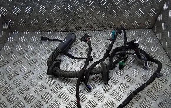 BMW 7 E65 E66 Front door wiring loom 6913132 6913124