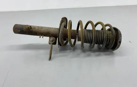 Peugeot 207 Front shock absorber with coil spring