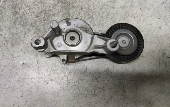 Seat Toledo III (5P) Generator/alternator belt tensioner