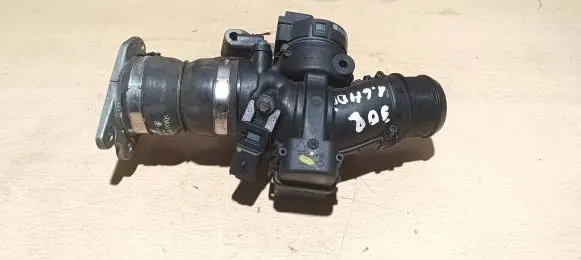 Peugeot 308 Throttle valve 9660030480 5365285