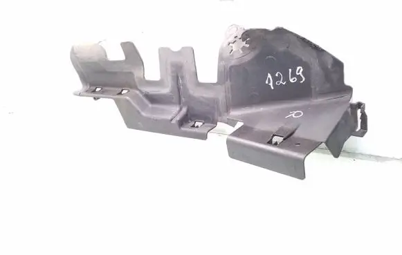 Volkswagen PASSAT B6 Radiator trim 3C0121284