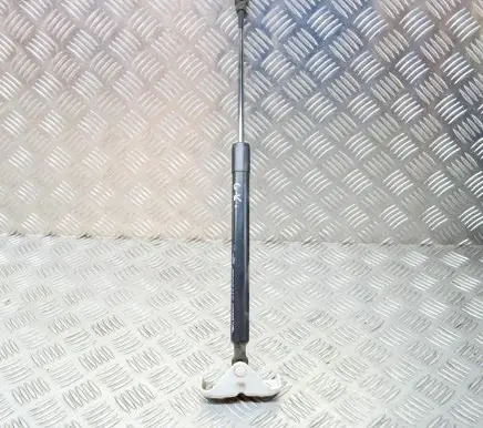 Renault Zoe Tailgate/trunk strut/damper 904502915R