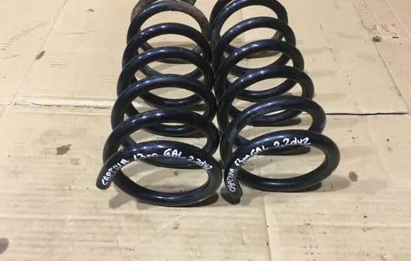 Rear coil spring