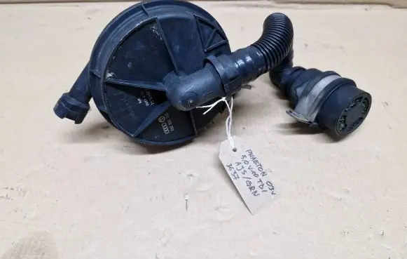 Volkswagen Phaeton Secondary air pump 07C959253 72841503