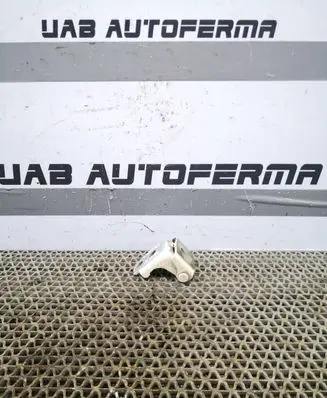 Renault Captur Rear door lower hinge 804200003RK