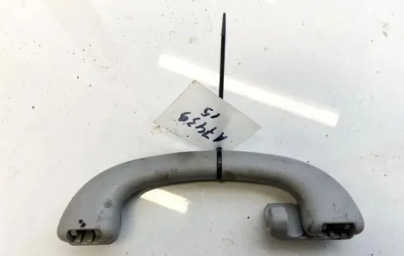 Ford Focus Front interior roof grab handle