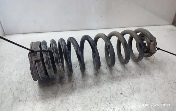 Rear coil spring