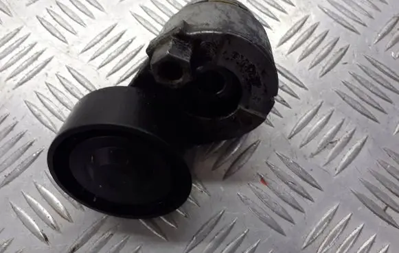 Renault Clio III Alternator belt tensioner pulley 8200460446