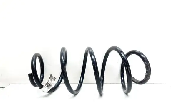 BMW X3 F25 Front coil spring 6787135