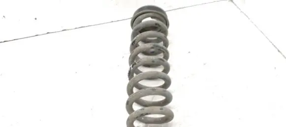 Rear coil spring