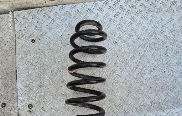 Opel Insignia A Rear coil spring