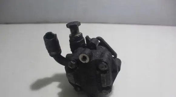 Volkswagen PASSAT B5.5 Power steering pump