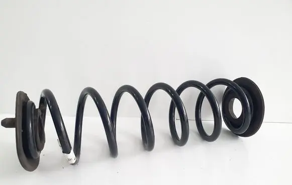 Rear coil spring