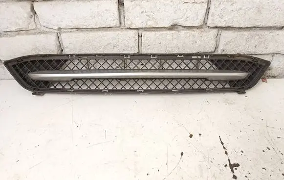 BMW X1 E84 Front bumper lower grill 7307792