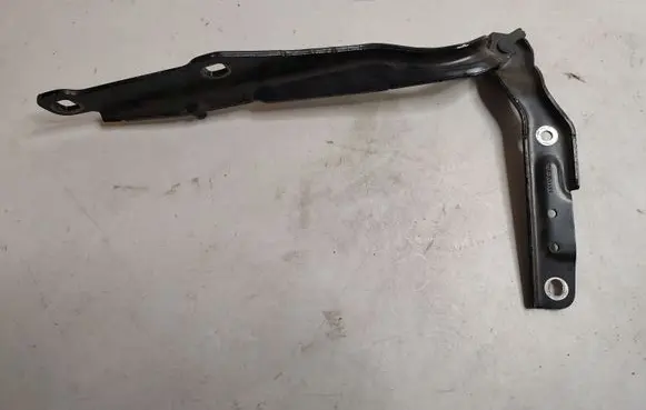 Dodge Charger Engine bonnet/hood hinges 55113550AG