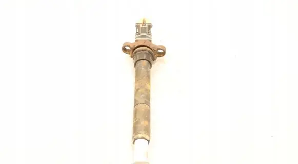 Citroen C5 Fuel injector EJBR06001D