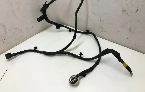 Other wiring loom