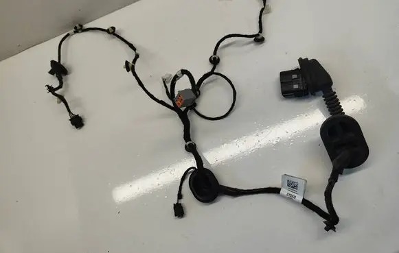 Dodge RAM Rear door wiring loom P68310310AD 64624P T025U325914317