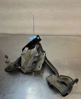 Dacia Sandero III Engine bonnet/hood hinges DODACIASANDEROIII3