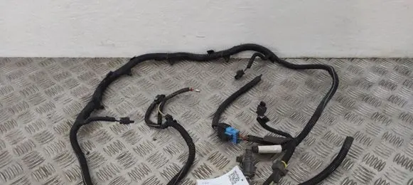 Peugeot 2008 II Parking sensor (PDC) wiring loom 9836160980 41256