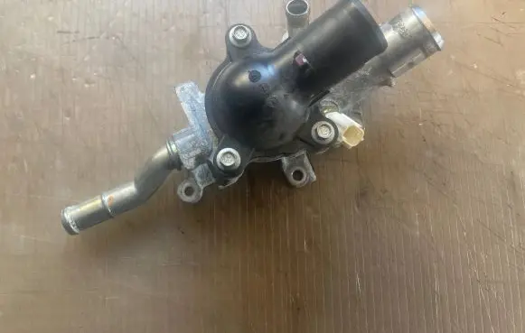 Thermostat/thermostat housing