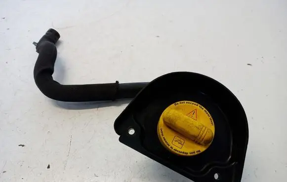 Renault Trafic III (X82) Oil fill pipe 8200795333